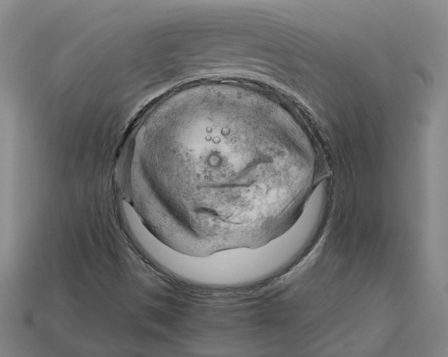 X0000114431497200911131320
