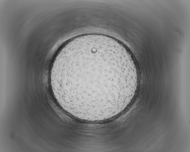 X0000114431499200911131320