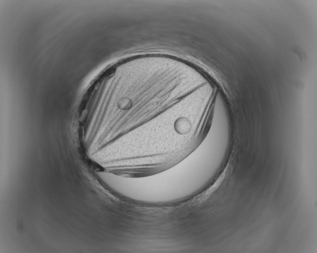 X0000114431502200911131320