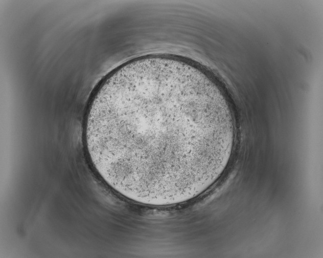X0000114431505200911131320