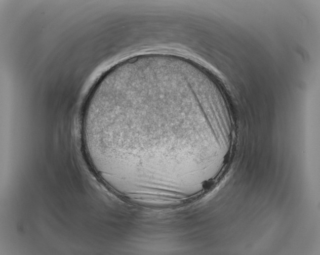 X0000114431506200911131320