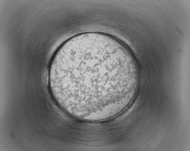 X0000114431509200911131321