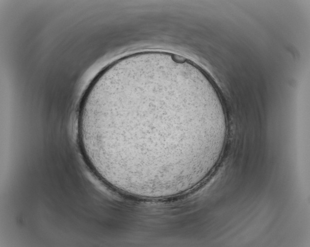 X0000114431511200911131321
