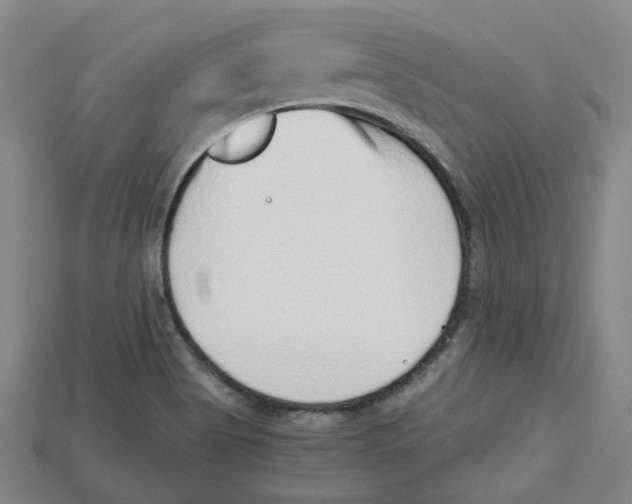 X0000114431513200911131321