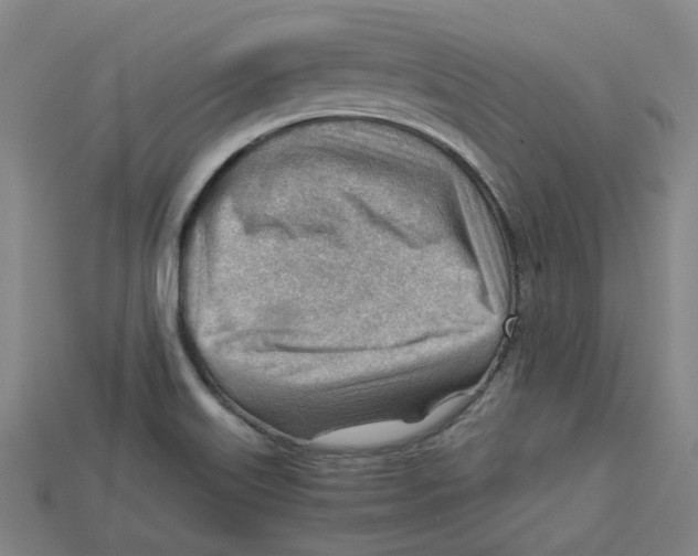 X0000114431515200911131321