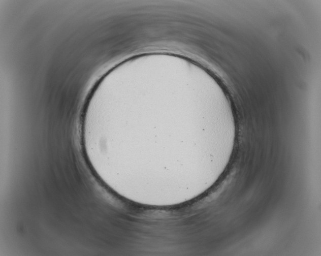 X0000114431517200911131321