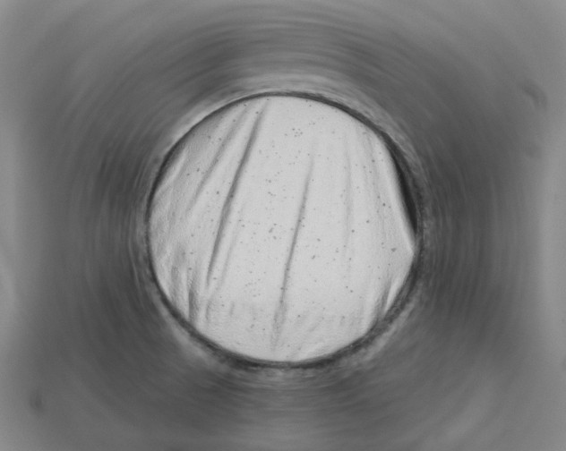X0000114431521200911131321