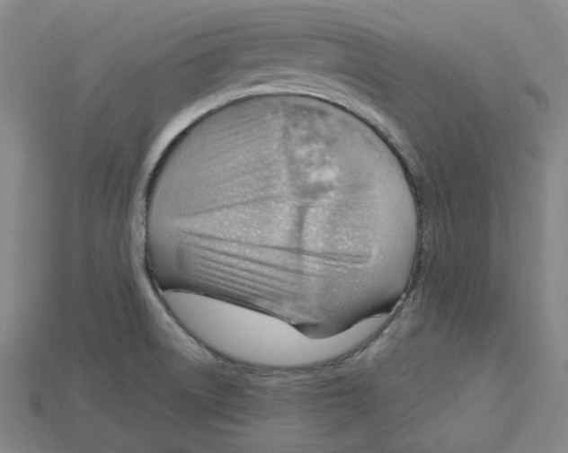 X0000114431522200911131321