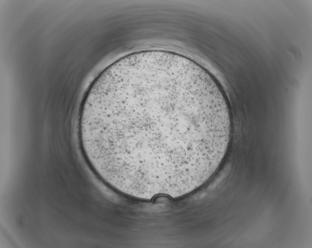 X0000114431525200911131321