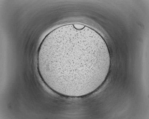 X0000114431526200911131321