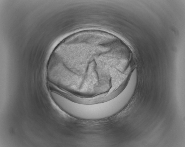 X0000114431527200911131321