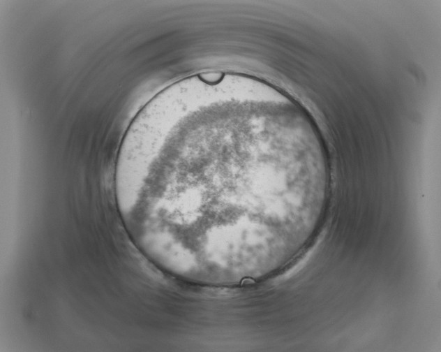 X0000114431529200911131321