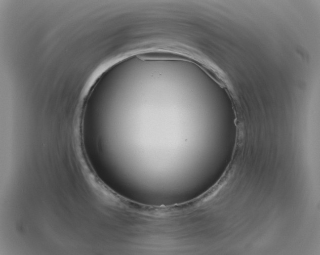 X0000114431530200911131321