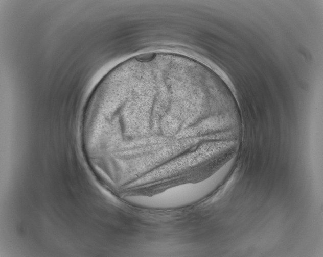 X0000114431533200911131321