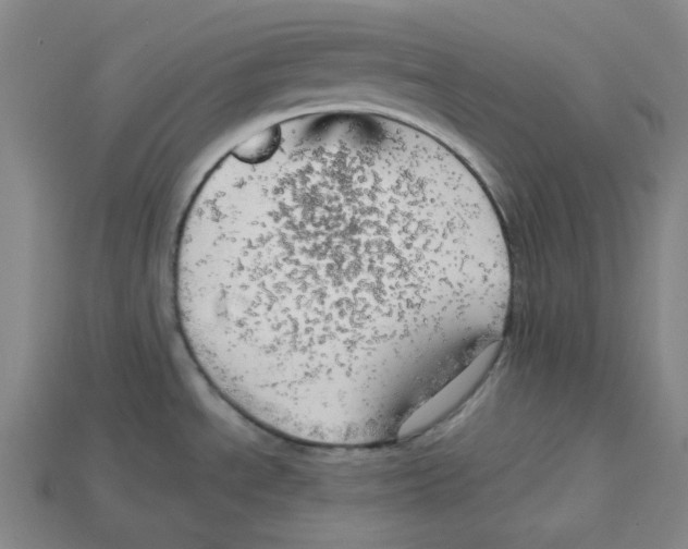 X0000114431534200911131321