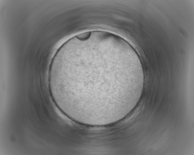 X0000114431535200911131321