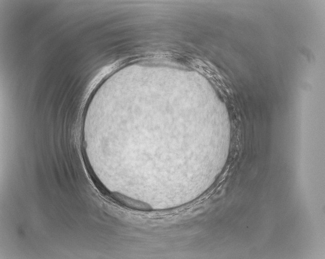 X0000114430003200911271627