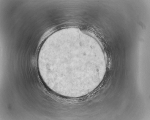 X0000114430004200911271627
