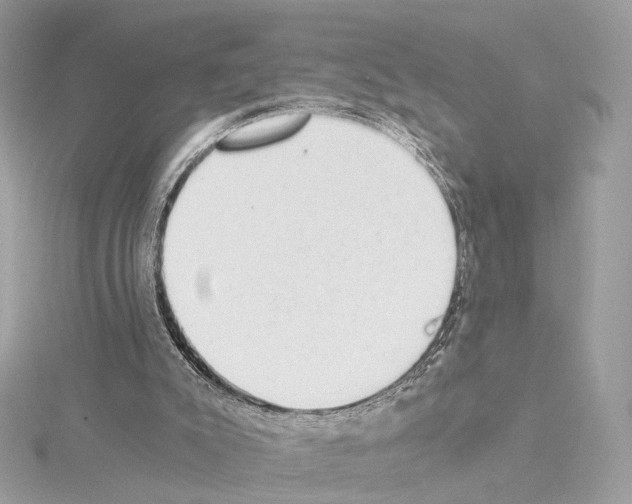X0000114430007200911271627