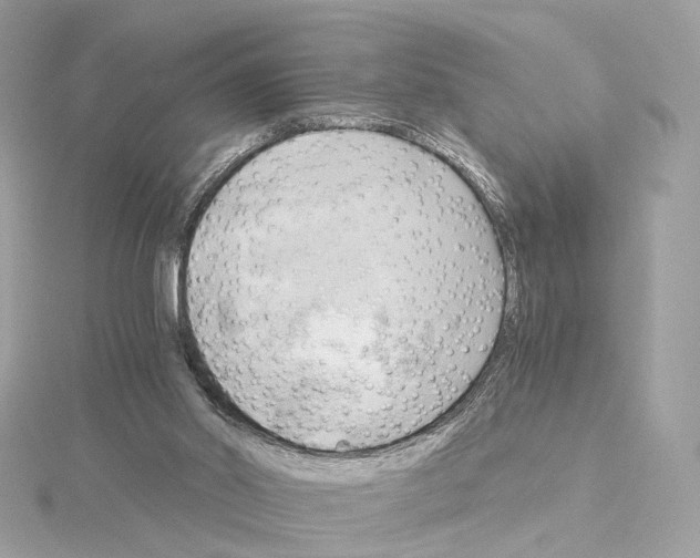 X0000114430014200911271626