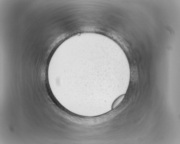 X0000114430015200911271626