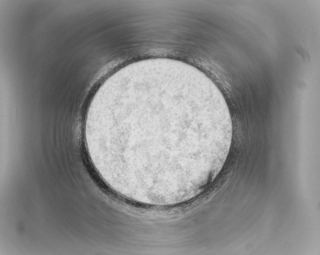 X0000114430016200911271626