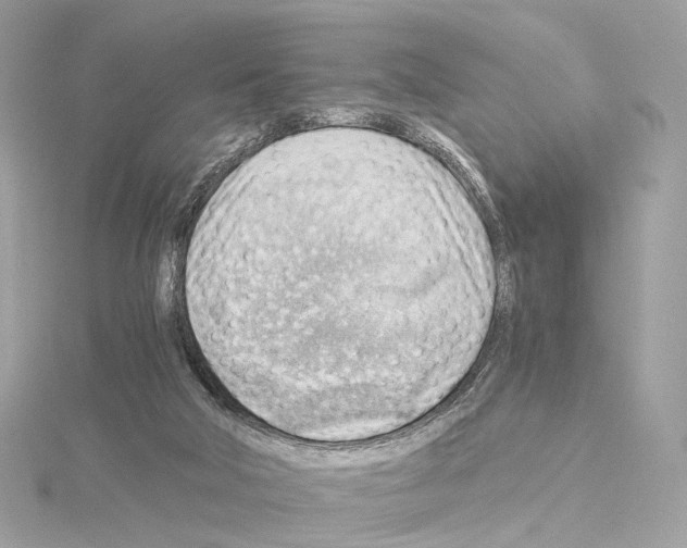 X0000114430018200911271626