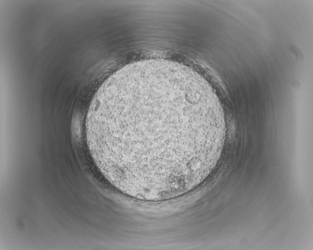 X0000114430026200911271626