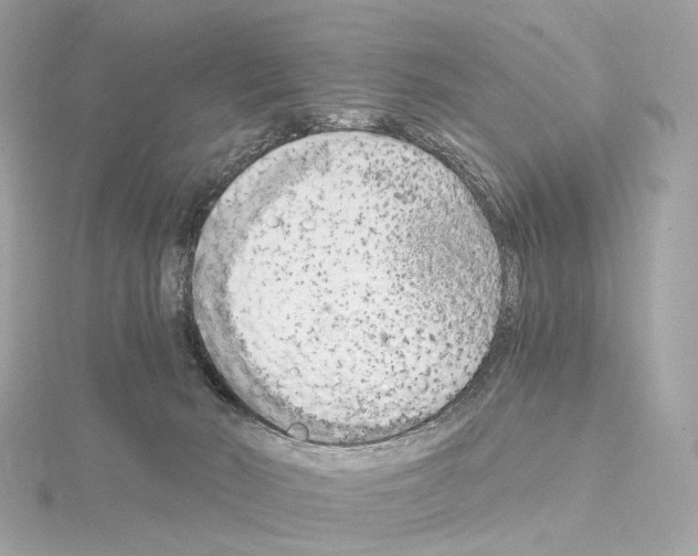 X0000114430030200911271626