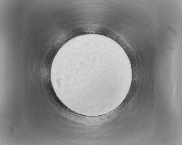 X0000114430031200911271626