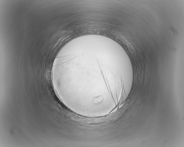 X0000114430035200911271626