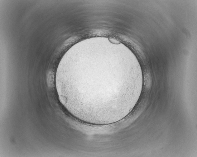 X0000114430036200911271626