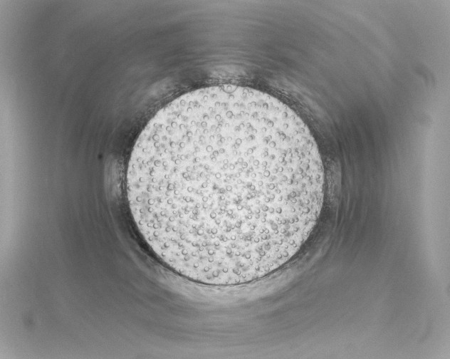 X0000114430038200911271626