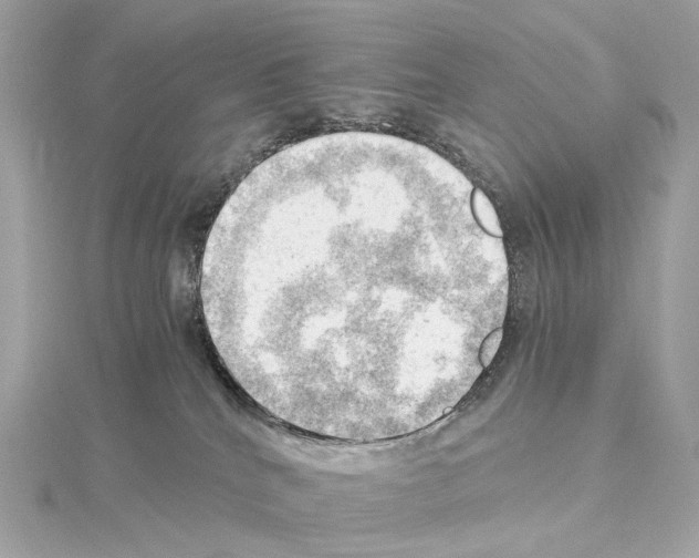 X0000114430040200911271626