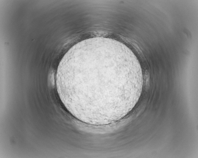X0000114430042200911271626