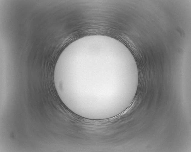 X0000114430045200911271626