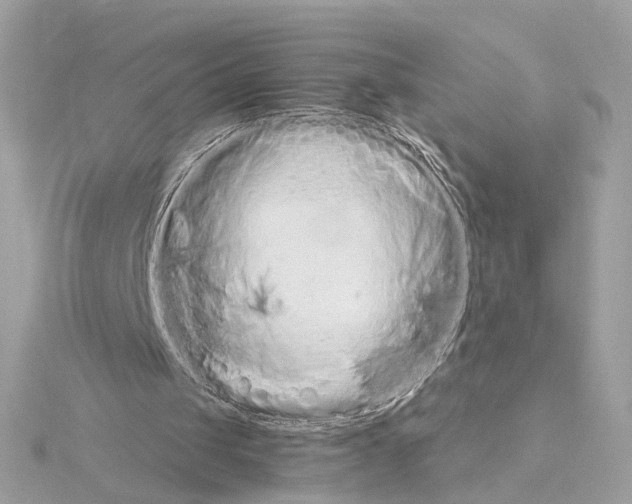 X0000114430049200911271625