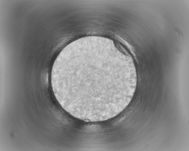 X0000114430067200911271626