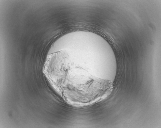 X0000114430081200911271626