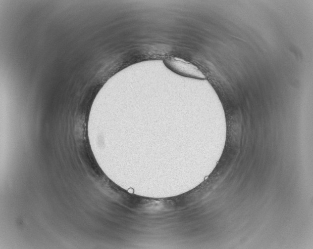 X0000114430083200911271626