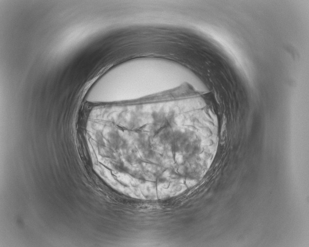 X0000114430099200911271625