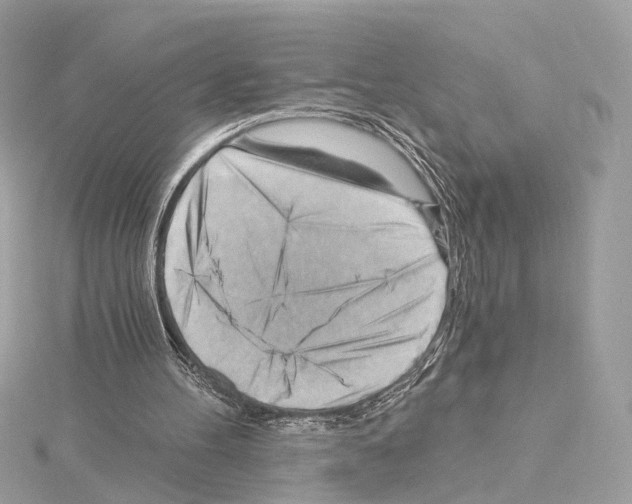 X0000114430100200911271625