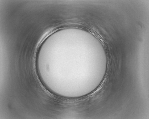 X0000114430101200911271625