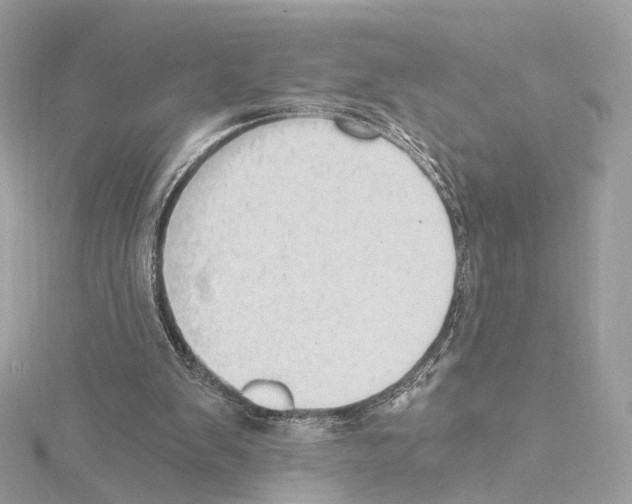 X0000114430103200911271625