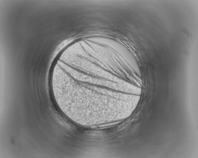 X0000114430104200911271625