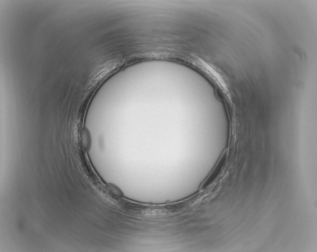 X0000114430105200911271625