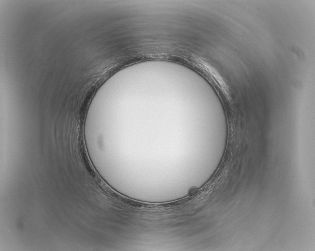 X0000114430113200911271625