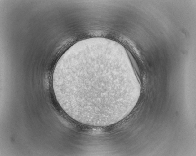 X0000114430114200911271625
