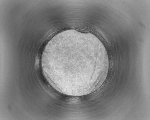 X0000114430124200911271625