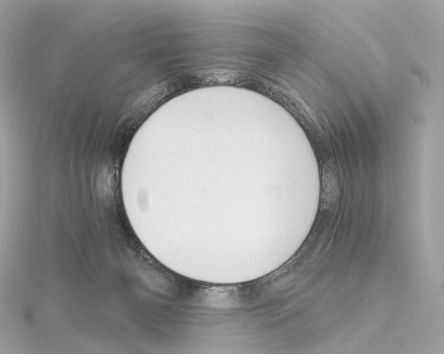 X0000114430126200911271625